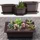 thumbnail image 5 of Typpkmm Rectangular Bonsai Training Pots with Plastic Flowerpot with Drainage, 5 of 7