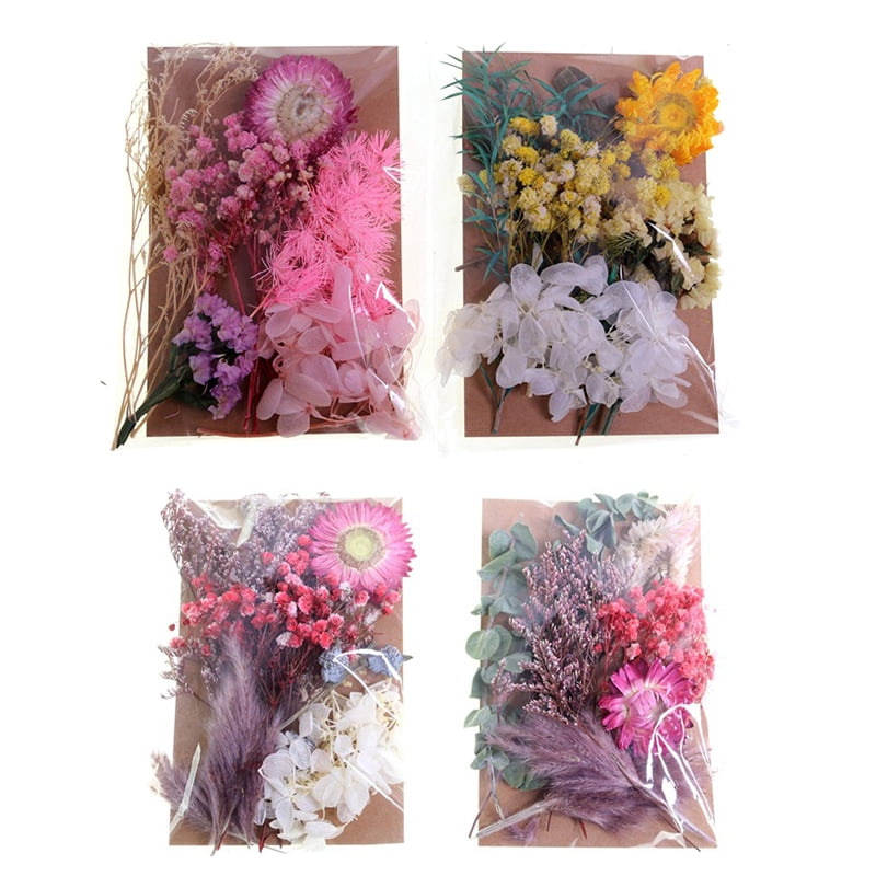 AhlsenL Real Dried Flowers, Natural Dried Flowers Mixed, Hydrangeas, Daisies, Natural Pressed Flowers White Decorative Dried Flowers for DIY Candle