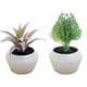 thumbnail image 1 of Planta de simulación suculenta en maceta, pequeños adornos creativos para interiores, plantas verdes artificiales, 2 uds., 1 of 5