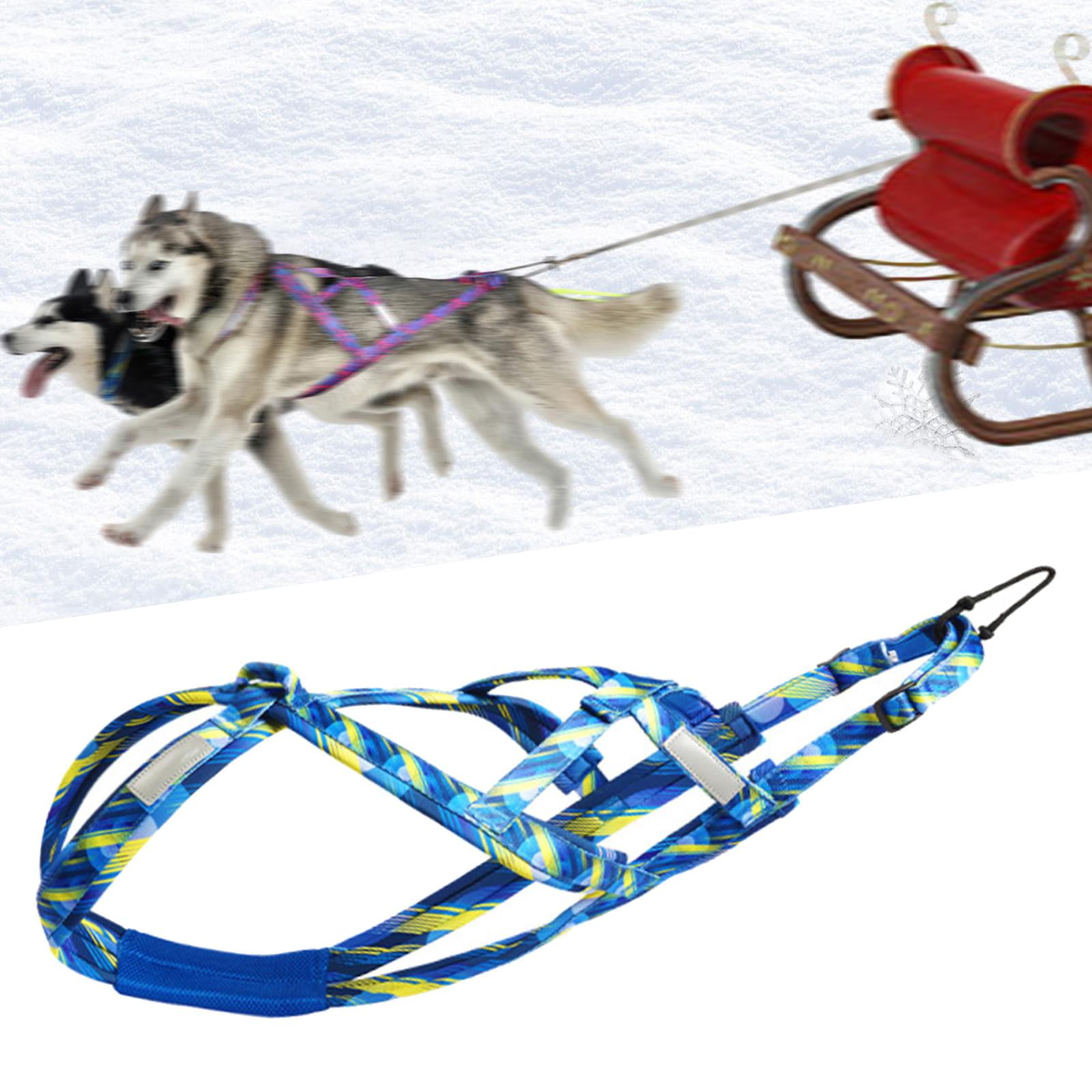 Dog Weight Pulling Harness Husky Harness Professional for Medium Large Dogs, Bikejoring, Dog Mushing Harness Sled Harness , Blue XL