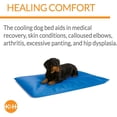 thumbnail image 4 of Cool Bed III Dog Cooling Mat, Indoor Outdoor Cooling Beds for Large Dogs, Chilling Pet Pad for in Home, Outdoor Houses, Crates, Yards, Porches - Large 44 X 32in Chill Blue, 4 of 5