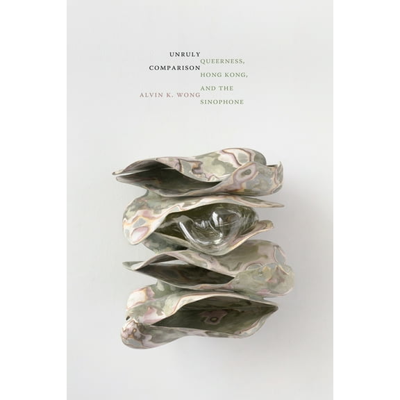 Perverse Modernities: A Series Edited by Unruly Comparison: Queerness, Hong Kong, and the Sinophone, (Hardcover)