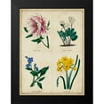 thumbnail image 2 of Maund, Benjamin 12x14 Black Modern Framed Museum Art Print Titled - Botanical Grid II, 2 of 5