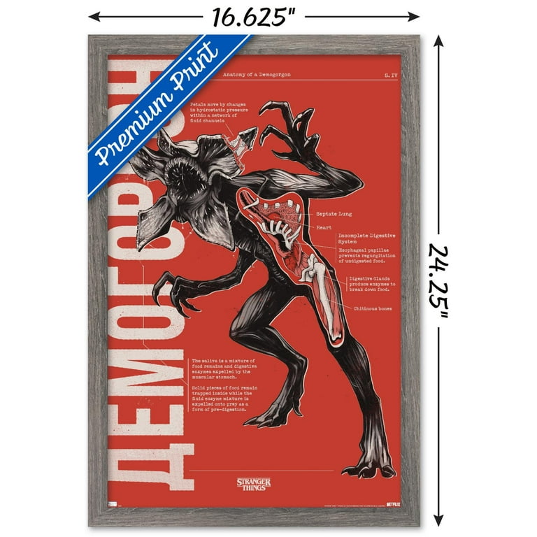 Netflix Stranger Things: Season 4 - Demogorgon Anatomy Wall Poster