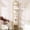Gold, variant on 5-Tier Glass Bookshelf with Gold Metal Frame, Tempered Glass Display Shelf, Narrow Storage Rack for Books, Plants, Decor, Living Room, Bedroom and Office