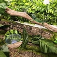 thumbnail image 2 of 2X Reptile Branches for Climbing Bearded Dragon Branch Natural Non-Slip Habitat Decorations Decor, 2 of 7