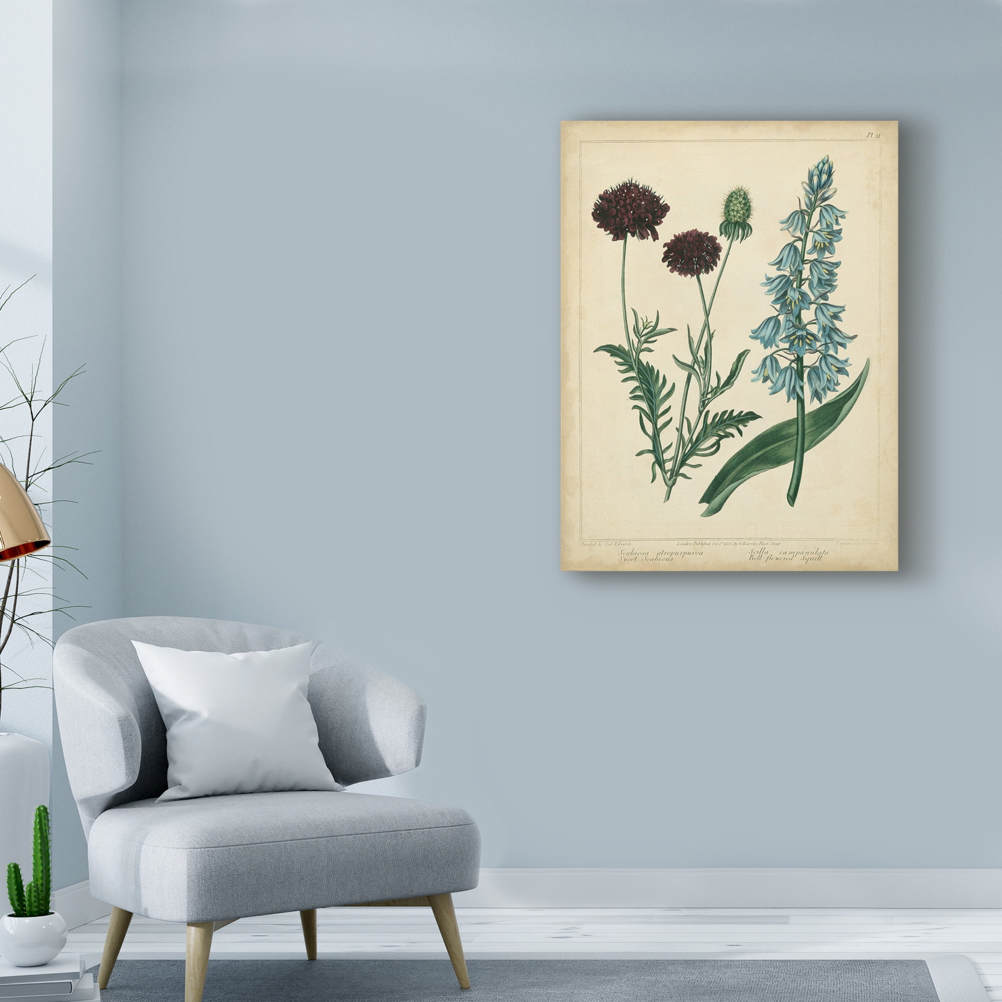 Trademark Fine Art 'Cottage Florals VI' Canvas Art by Sydenham Edwards