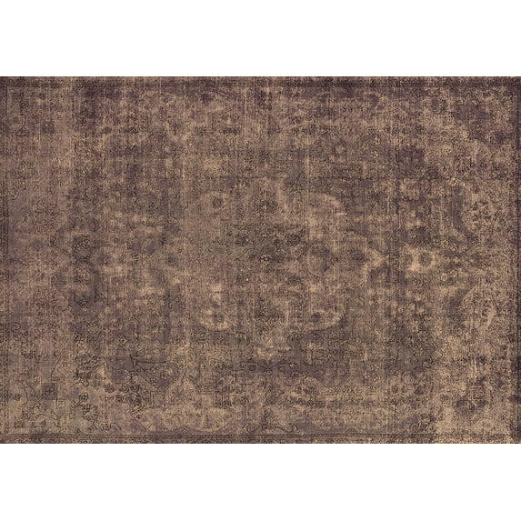 Ahgly Company Indoor Rectangle Oriental Brown Industrial Area Rugs, 2' x 3'