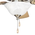 thumbnail image 4 of AirPro Collection Two-Light Ceiling Fan Light, 4 of 11