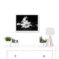 thumbnail image 2 of White Lilly Flower Bloom A4 Artwork Framed Wall Art Print, 2 of 4