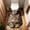 A, variant on Cat Toilet Rug U Shaped Washable Soft and Absorbent Bathroom Rugs Non Slip Bath Mat Machine Wash Bathroom Contour Rug for Toilet Base, 16 x 20 Inch D