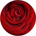 thumbnail image 1 of Slipmat Slip Mat Scratch Pad Feutre pour n'Importe Quel 12" LP Vinyle Tourne-Disque Lecteur Graphique Personnalisé - Fleur Rose Humide, 1 of 1