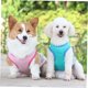 thumbnail image 5 of unbranded Chaqueta Refrescante Para Rosa De Material Transpirable Y Adorable, 5 of 7