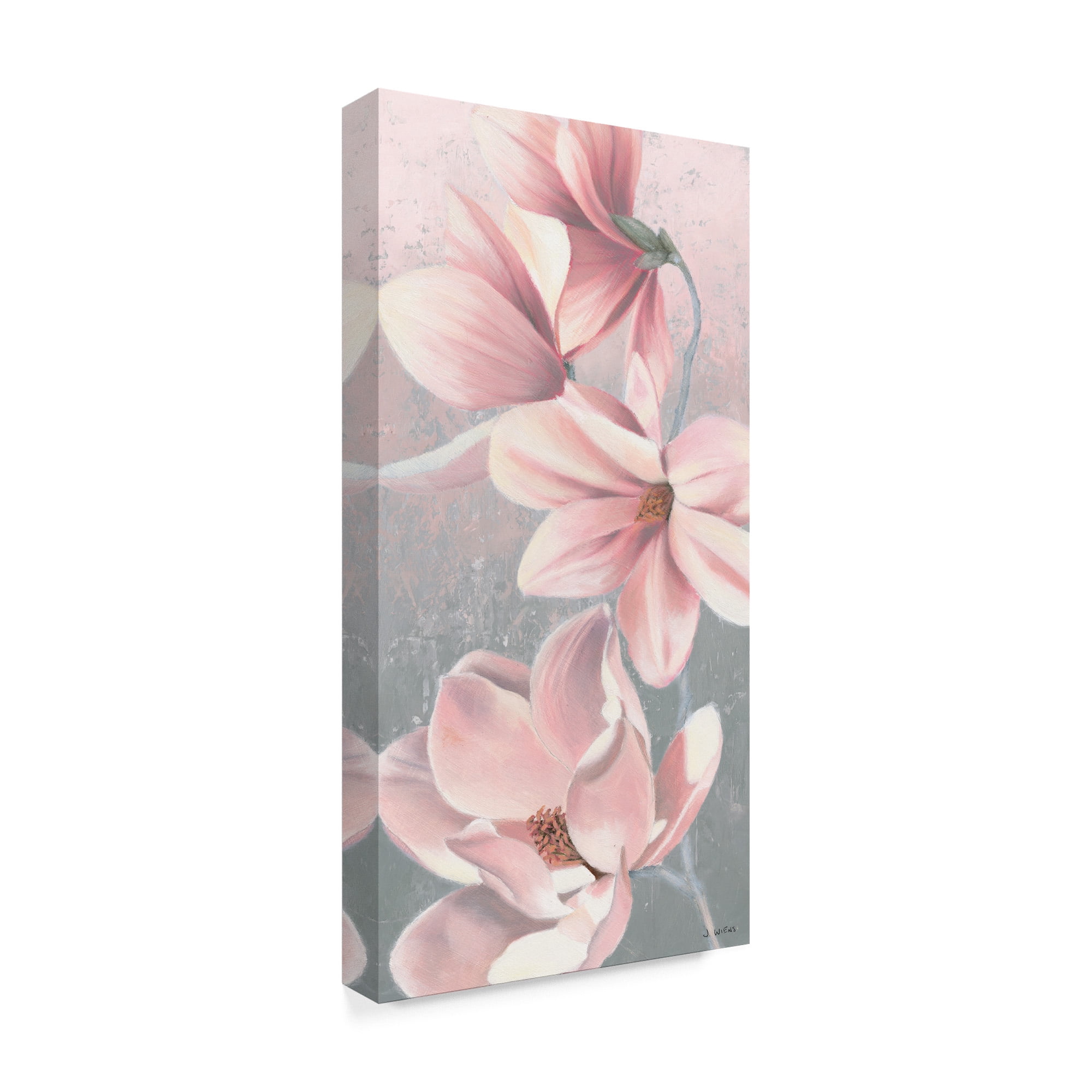 James Wiens 'Sunrise Blossom Ii' Canvas Art