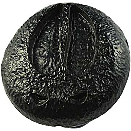 Sierra Lifestyles Wildlife Wilderness Novelty Knob