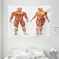 thumbnail image 1 of Human Anatomy Tapestry, Male and Female Bodies with Inner Mass Build Display Muscle System Graphic Print, Wall Hanging for Bedroom Living Room Dorm Decor, 80W X 60L Inches, Coral, by Ambesonne, 1 of 2