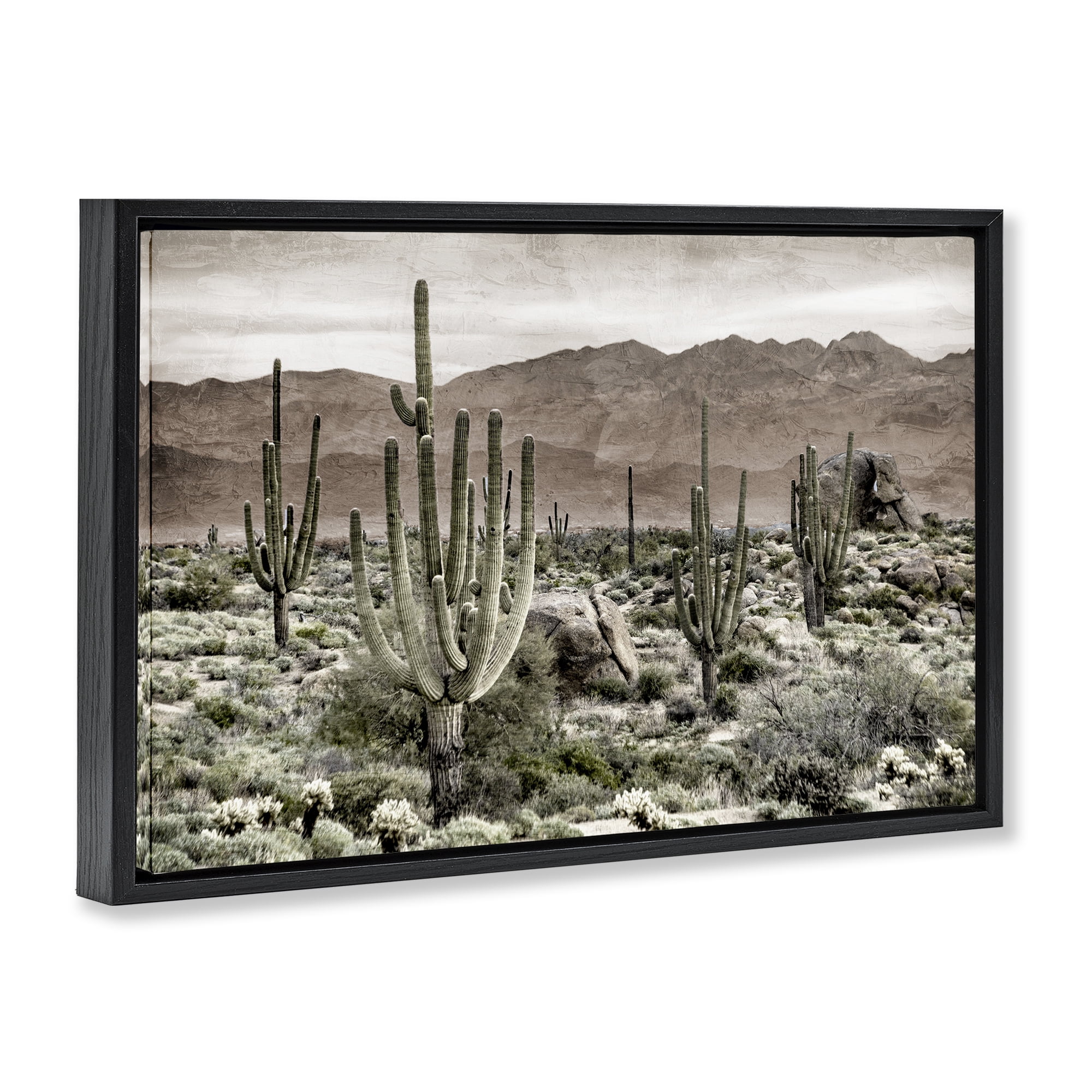 Stupell Industries Desert Land Cacti Wilderness Black Framed Floater Canvas Wall Art, design by Kim Allen