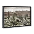 thumbnail image 2 of Stupell Industries Rustic Lodge Desert Land Cacti Wilderness Black Floating Frame Canvas Art, 25 x 17, by Kim Allen, 2 of 8