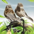 thumbnail image 2 of Opvise Fake Sparrow Handmade Realistic Feathered Metal Clip 3D Eyes Home Garden Decoration Crafts Wedding Indoor Outdoor False Animal Bird for Courtyard Red, 2 of 8