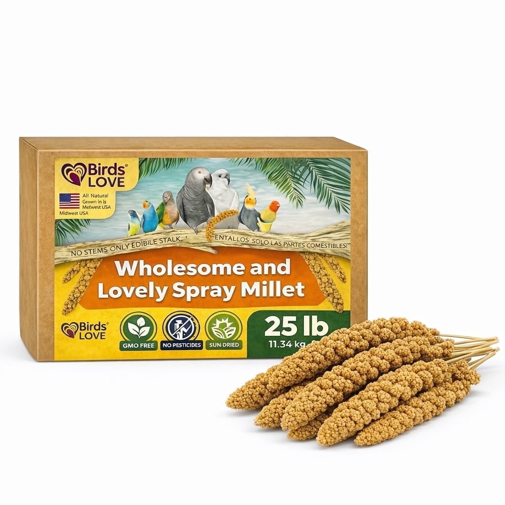 Birds LOVE 25 LB Wholesome Spray Millet for Birds – USA Grown, Natural Sun-Dried Millet Sprays – Thick Seed-Rich Clusters for Parakeets, Budgies, Cockatiels, Conures, Finches & Parrots