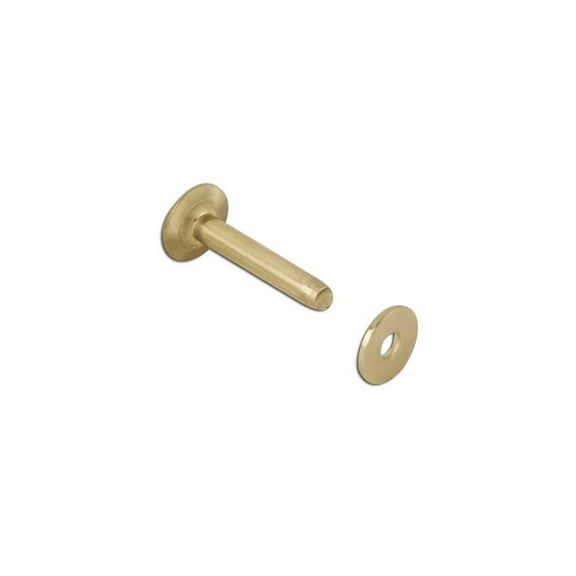Tandy Leather #9 Brass Rivets & Burrs 1" (25 mm) 50/pk 11282-20