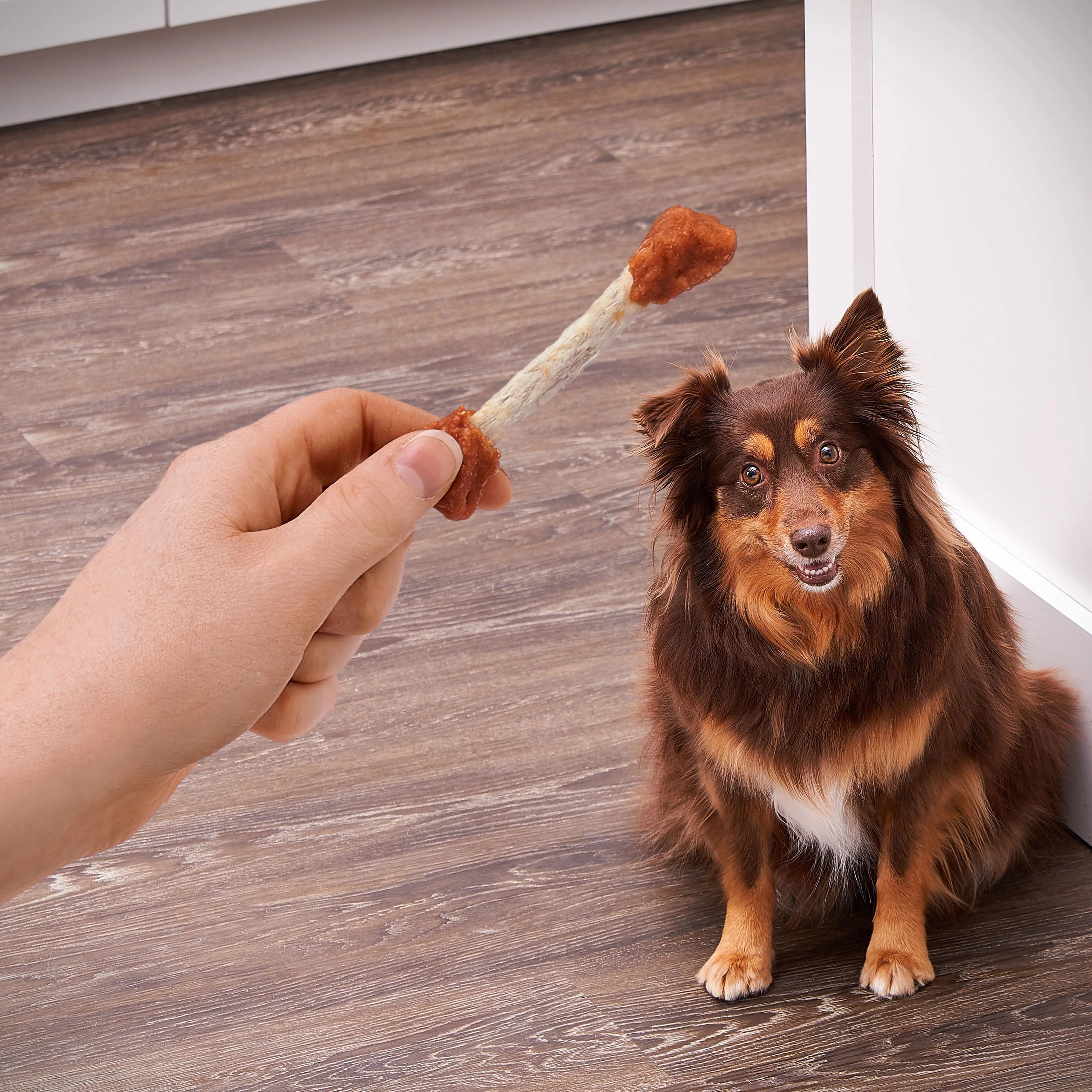 (3 pack) Ol' Roy Beef hide Coated Munchy Sticks, Chicken Recipe, Dry Training Treats for Dogs, 5.9 oz, 14 Count Bag