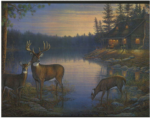 Wallpaper Border Whitetail Deer in Forest Pine Trees Mountains Faux Wood Trim