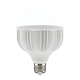 thumbnail image 1 of Foco Led De Alta Potencia 50 W Luz De Día Base E27, 1 of 5