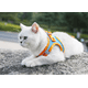 thumbnail image 4 of Chaleco para mascotas de color naranja y azul (S) con cuerda de tracción, arnés de pecho transpirable y reflectante para perros y gatos., 4 of 5
