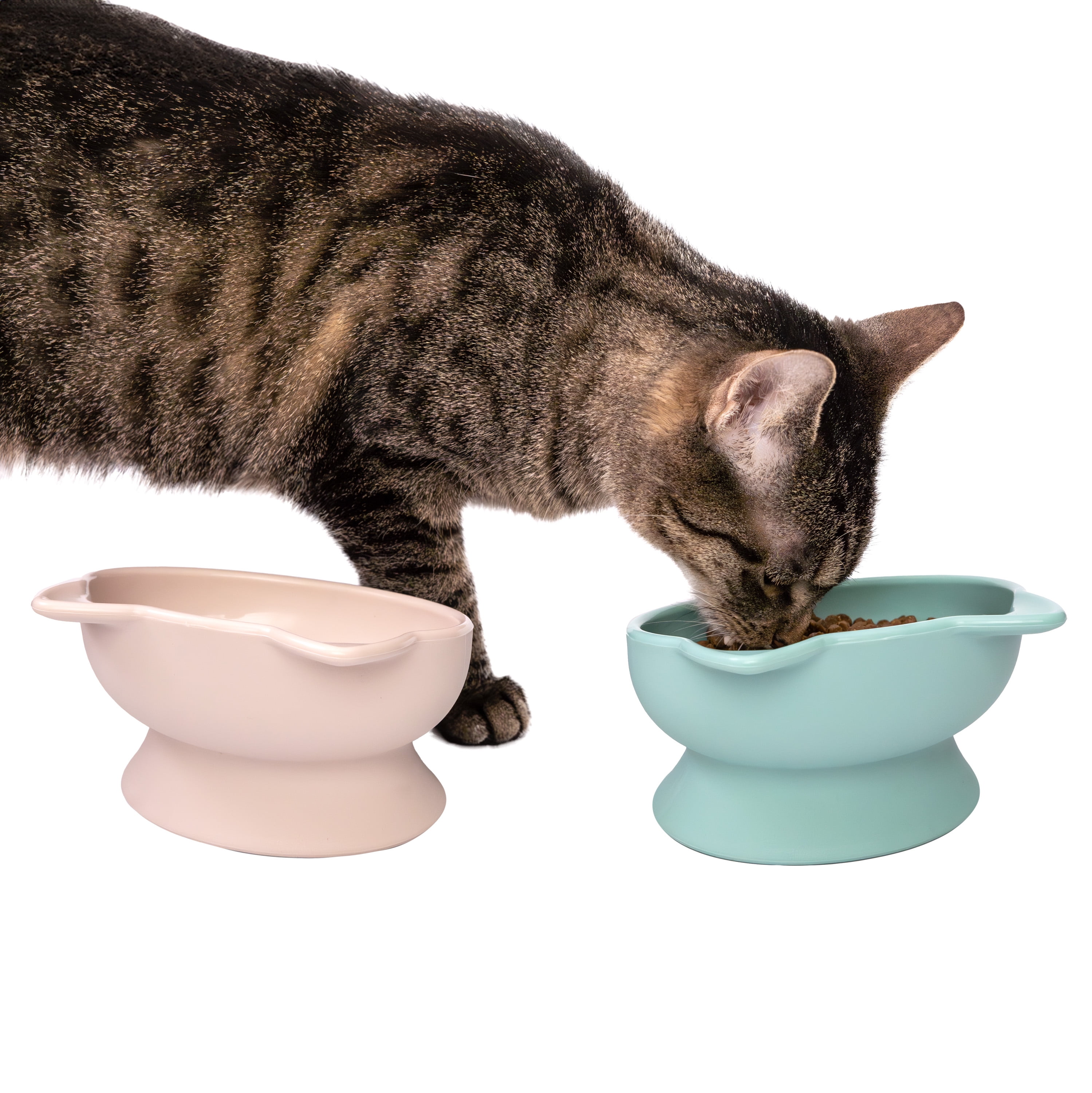 Kitty City Plastic Raised Cat Ear Bowls, Multicolored, 2 Pack Set