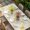 Light Beige White Lemon Yellow, variant on Daisy Flower Table Cloths for 4 Foot Rectangle Tables, Vintage Farmhouse Country Floral Plant Patio Waterproof Elastic Fitted Tablecloths, Washable Rectangular Table Cover for Camping