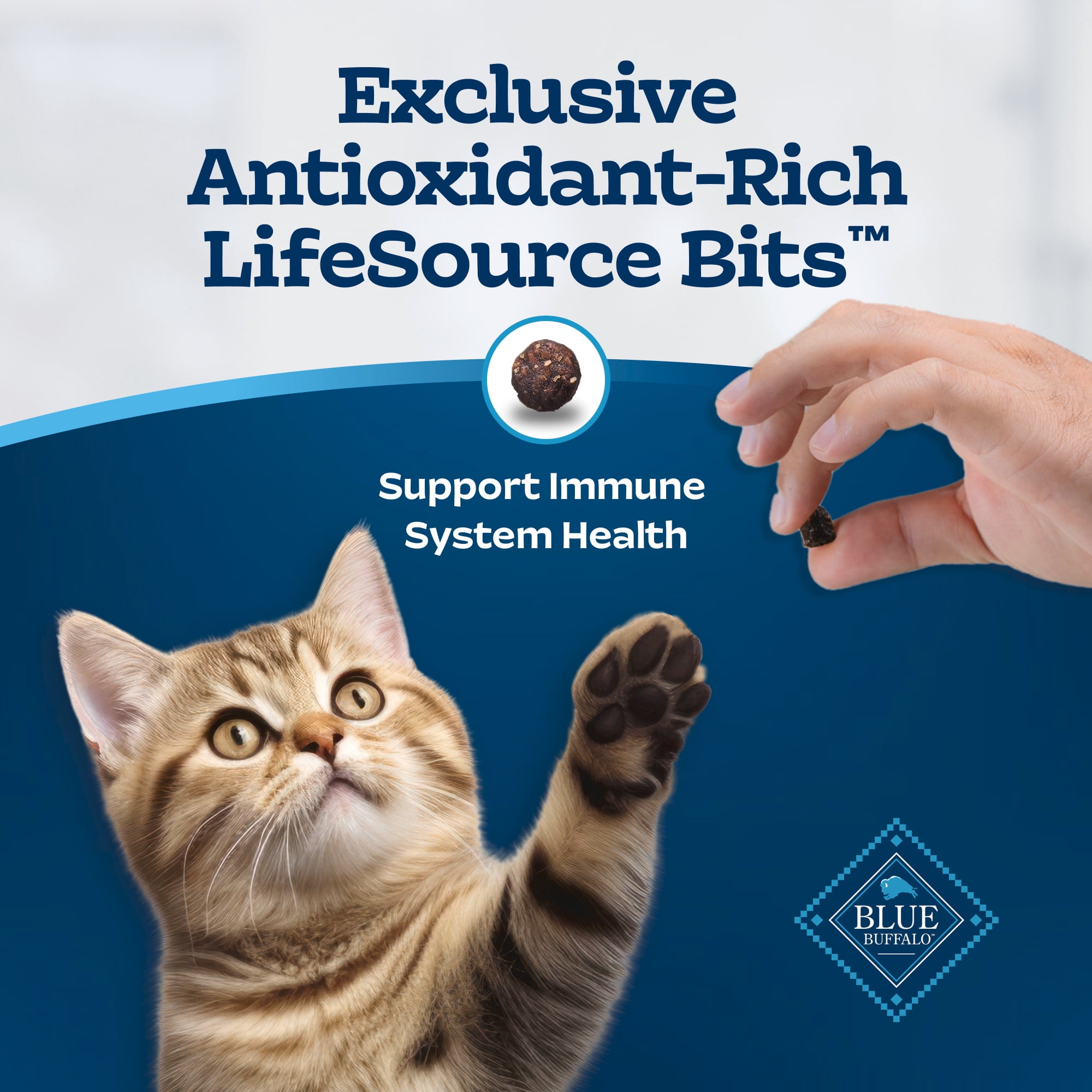 Nourriture sèche naturelle pour chatons Blue Buffalo Tastefuls, recette au poulet et riz brun 0,9kg