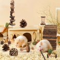 thumbnail image 7 of Qweryboo 20Pcs Hamster Chew Toys, Rabbit Toy, DIY Hamster Bunny Teeth Care Molar Toys,  Ideal for Dwarf Hamsters Rat Guinea Pigs Chinchillas Bunnies, 7 of 7