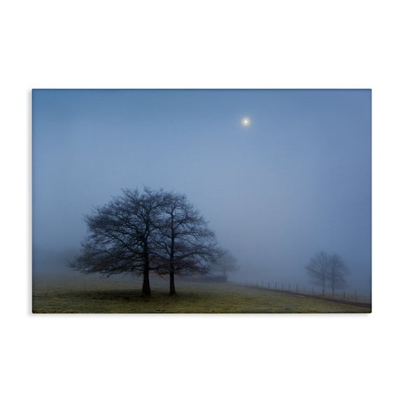 Stupell Industries Blue Silence Landscape Canvas Wall Art design by Urtzi Vera, 16 x 24