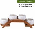 thumbnail image 6 of 4 Pack Ceramic White Succulent Plant Pot with Bamboo Arched Tray, Mini Cactus Planter Flower Pot for Garden Kitchen Home Office Desk Decorations (No Plants Included), 6 of 7