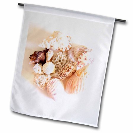 She Sells Sea Shells 12 x 18 inch Garden Flag fl-18683-1
