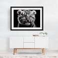 thumbnail image 2 of Tiger cub in close-up 02 - Photography Tiger Animal Wildlife Portrait Black and White Nature Illustration Black Framed Wall Art Print 12 x 18 inches, 2 of 4