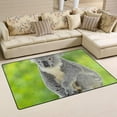 thumbnail image 2 of Coolnut Lightweight Soft Area Rugs 60 x 39 inch (5'x 3'3"), Koala Bear in Forest Zoo Floor Mat for Kids Playing Room Hardwood Floor Living Room Nursery Rugs, 2 of 6