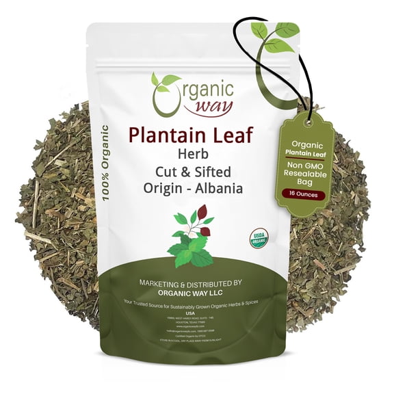 Organic Plantain leaf cut and sifted, Herbal Tea Origin -Albania (1 lbs / 16 oz)