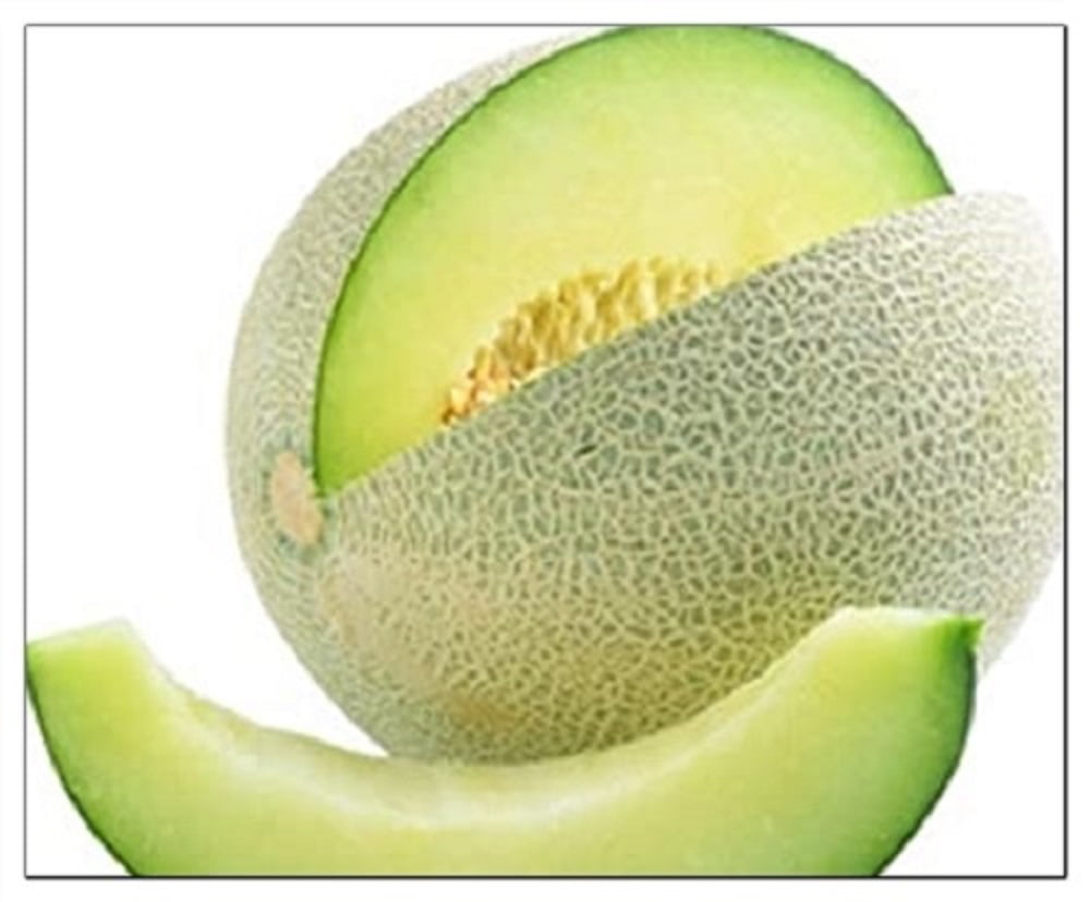 200 Organic Orange Flesh Honeydew Melon Seeds USA Seller Non GMO Harvested in USA