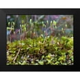 thumbnail image 2 of Grayscale 18x15 Black Modern Framed Museum Art Print Titled - Forest Floor I, 2 of 5