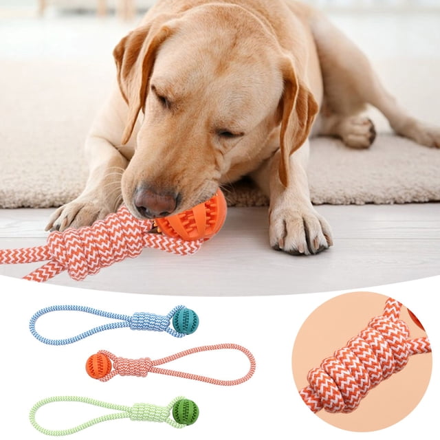 Jouet à Mâcher Interactif Durable pour Chiots Chiens et Chats Dentition Intérieur Extérieur