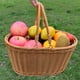 thumbnail image 5 of Cesta de almacenamiento Zulema Cesta de picnic L 35 cm x 26 cm, 5 of 8