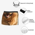 thumbnail image 3 of Honeii Happy Fluffy Running Dog Print Mens Boxer Briefs Breathable,Boxer Brief for Men, Moisture-Wicking Underwear-Medium, 3 of 5