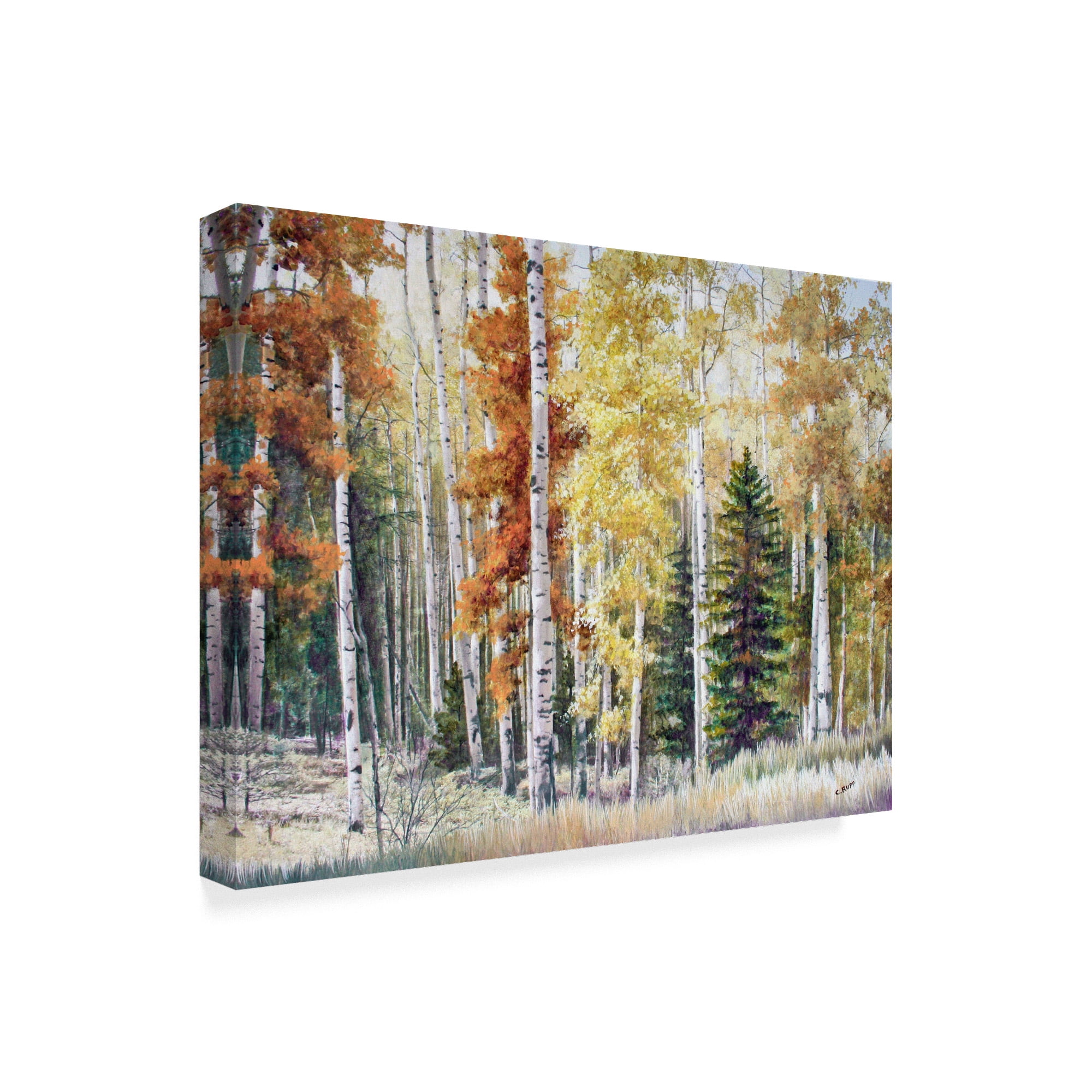 Trademark Fine Art 'Angel Fire Aspens' Canvas Art by Carol J Rupp