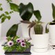 thumbnail image 3 of BRIGHTFUFU 2 sets plantas plantas macetas de flores para jardín plástico macizo de maceta de macetas con platillos, 3 of 7