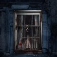 thumbnail image 4 of Halloween Ghost Curtain Decorations Ghost Window Door Cover Decorations for Indoor Outdoor Party Decor Spooky Blood Ghost Halloween Party Hanging Decor Halloween Window Decorations Door Cover, 4 of 5