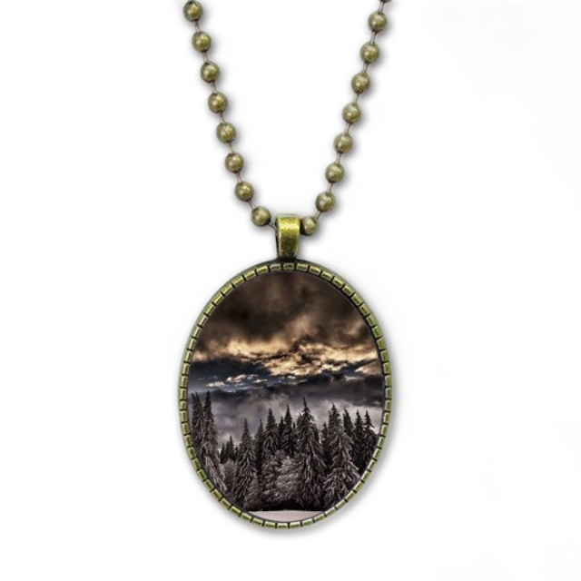Pino blanco cielo luz de cielo oscuro Collar Colgante de cadena vintage Colección de joyas colgantes Unbranded M