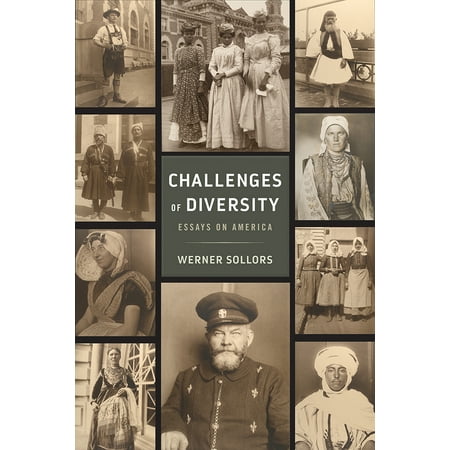 Diversity in usa essay