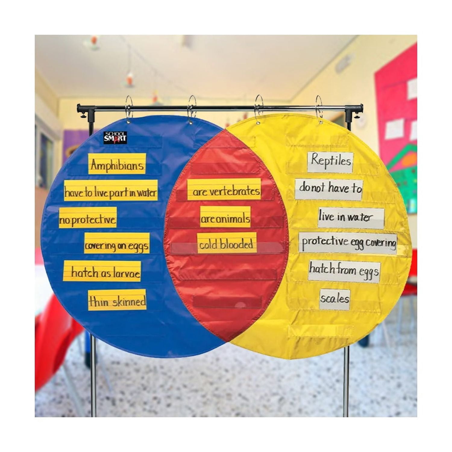 Venn Diagram Pocket Chart with 3 Circles, 23 Pockets, 35-1/2 x 54 Inches